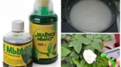 Употребата на зелен сапун од штетници