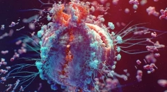 Знаци на живи суштества