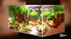 Проблеми во аквариумот и нивната елиминација