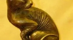 Потекло на домашна мачка