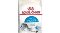 Едноставни мачки мачки: зошто толку многу ги сакаме