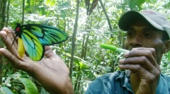 Bloyholder кралицата александра