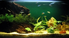 Сорти на аквариум компресори