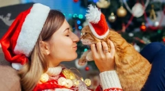 Среќна нова година, мачка! 14 новогодишни идеи за подароци за мачки