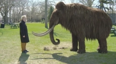 Добредојдовте назад: 10 изумрени животни кои наскоро можат да се вратат