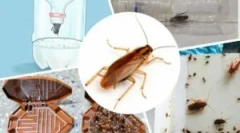 Најефикасни замки за лебарки