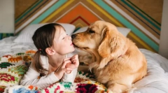 Најпланите раси на кучиња во светот