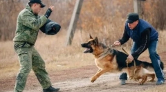 Најопасните раси на кучиња