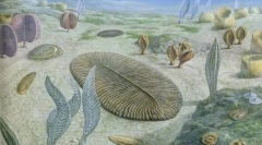 На првите животни