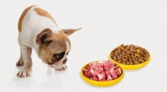 Најпопуларна храна за куче 2019 - pedigri: кореж на шминка и прегледи