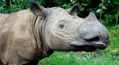 Најретки животни во светот