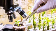 Избор, неговите задачи, методи и практично значење