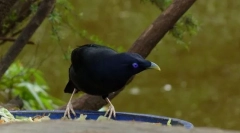 Сатен во облик на песок