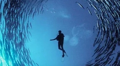 Бучавата на човекот убива риба