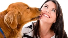 Куче и човек