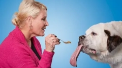 Куче со најдолг јазик во светот