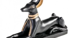 Кучиња во чл