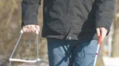 Специјализација на кучињата