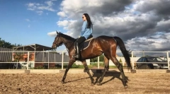 Методи за движење на коњи