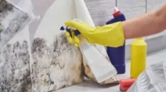 Алатки за отстранување на мувла (калап габа)