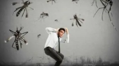 Средства за залак на инсекти