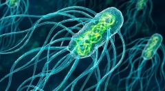 Градење и карактеристики на микроорганизми