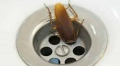 Лебарки во бањата и тоалет