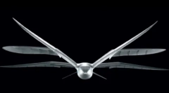 Топ 10: интересни факти за галебите