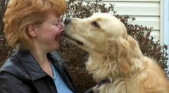 Топ 10 најхрабрите животни