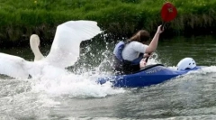 Топ 10: шокантно опасни животни