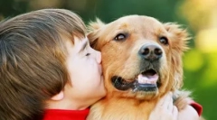 Топ 10 работи кои ги мразат кучињата