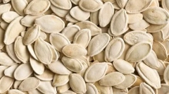 Топ 10 животни кои се плашат од жени