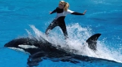 Топ 6 луѓе кои се сурово убиени од животни, кои ги обожаваа