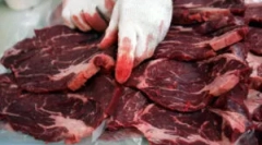 Trichinilasis: симптоми и третман