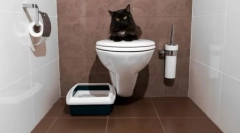 Кат тоалети затворени: изберете удобност за животно и чистење за дома