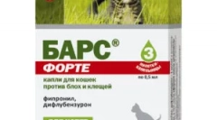 Ауро паѓа бар за мачки