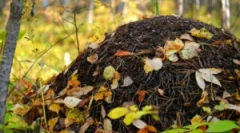 Уред и земјоделство