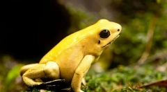 Ужасно слободно време