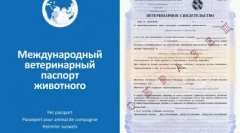 На патот со куче: најдобрите раси за патување