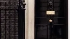 Во кои земји мачките се униформа и се состојат во служба