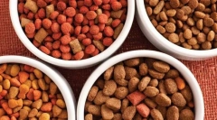 Видови на сува храна