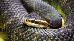 Заштита на вода