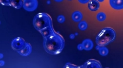 Репродукција на организми