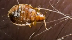 Штети и опасности кои произлегуваат од грешки