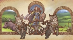 Сите за европската мачка на shorthair