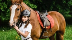 Избор на штали, тренер и коњи