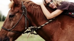 Човечка интеракција и коњ