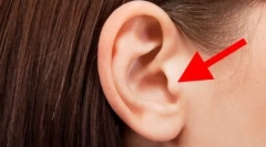 Зошто мачките џеб на ушите