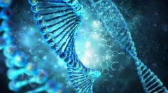 Закони на наследноста