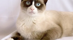 Во странство belonozha